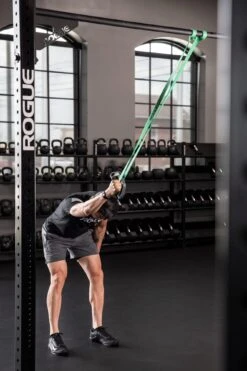 Rogue Band Handle -Fitness Equipment Discount AD0166 web5 joh3tp