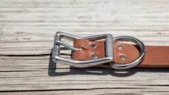 Rogue Leather Dog Collar -Fitness Equipment Discount DOGCOLLAR web3 vp3r2m