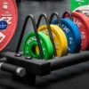 Rogue Friction Grip KG Change Plates (IWF) -Fitness Equipment Discount IP0195 H je7tk5