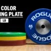 Rogue Color LB Training 2.0 Plates 2 Rogue Color LB Training 2.0 Plates -Fitness Equipment Discount IP0510 H rg3uyo