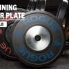 Rogue LB Training 2.0 Plates 2 Rogue LB Training 2.0 Plates -Fitness Equipment Discount IP0512 H soubfp