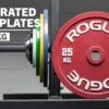 Rogue Calibrated KG Steel Plates -Fitness Equipment Discount IP0519 h lr2zpq