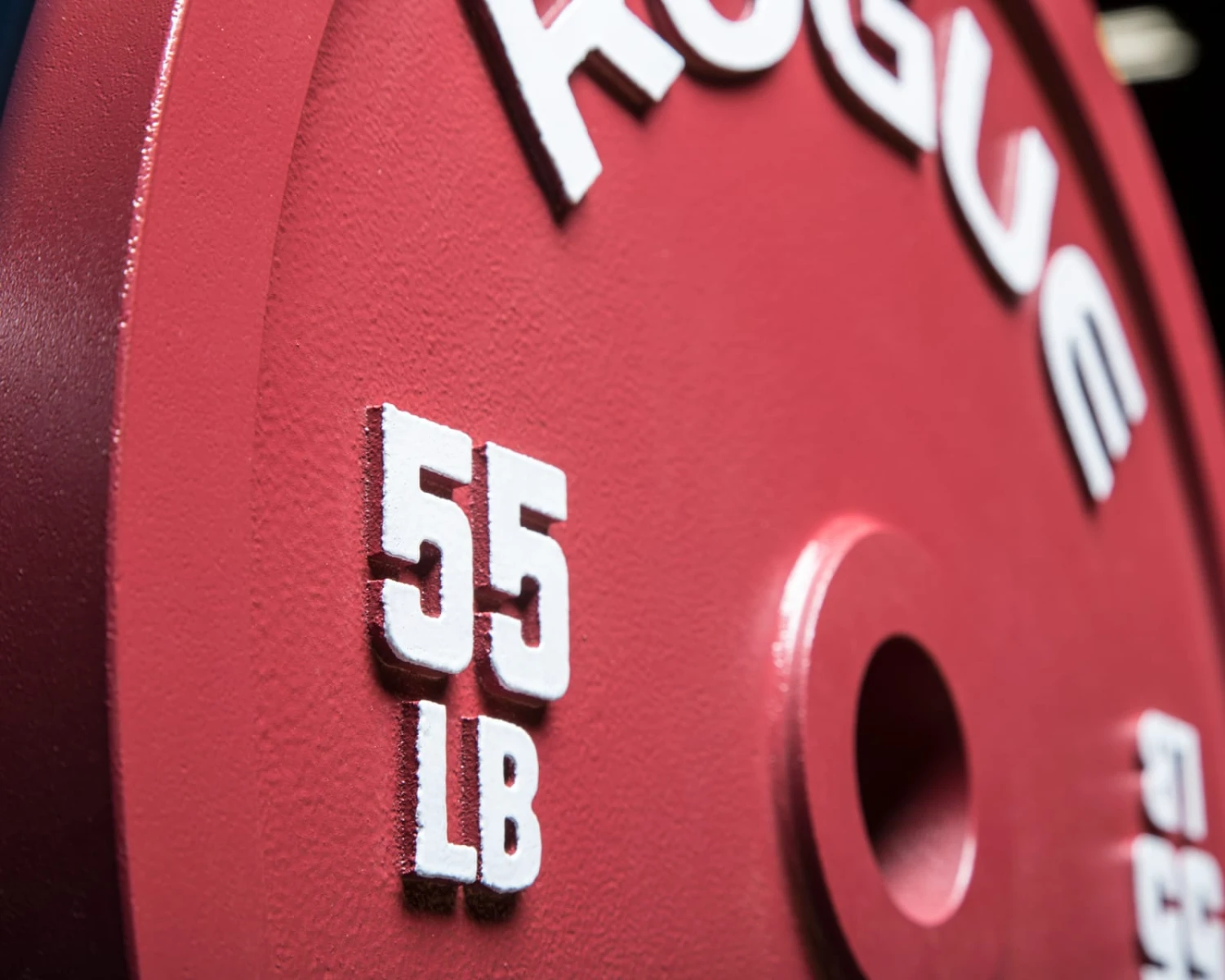 Rogue Calibrated LB Steel Plates 4 Rogue Calibrated LB Steel Plates - Image 2