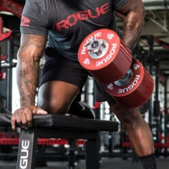 Rogue Dumbbell Bumpers -Fitness Equipment Discount IP0524 HOVER zwsujs