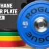 Rogue Urethane Plates -Fitness Equipment Discount IP0650 H hnoncy