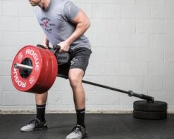 Rogue Parallel Landmine Handle -Fitness Equipment Discount PLANDMINE WEB4 xoicze