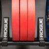 Rogue Bookshelf Divider 2.0 - 4-Pack -Fitness Equipment Discount RA0819 H ybdegw