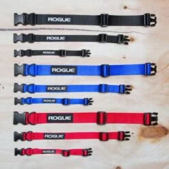 Rogue Nylon Dog Collar -Fitness Equipment Discount RA098 web 1 ddhl9v