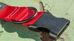 Rogue Nylon Dog Collar -Fitness Equipment Discount RA098 web 3 otpzkw