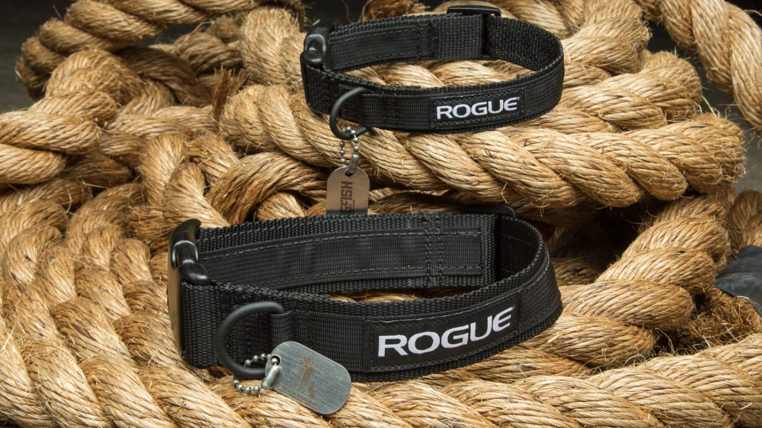 Rogue Dog Collar MIL Edition 3 Rogue Dog Collar MIL Edition