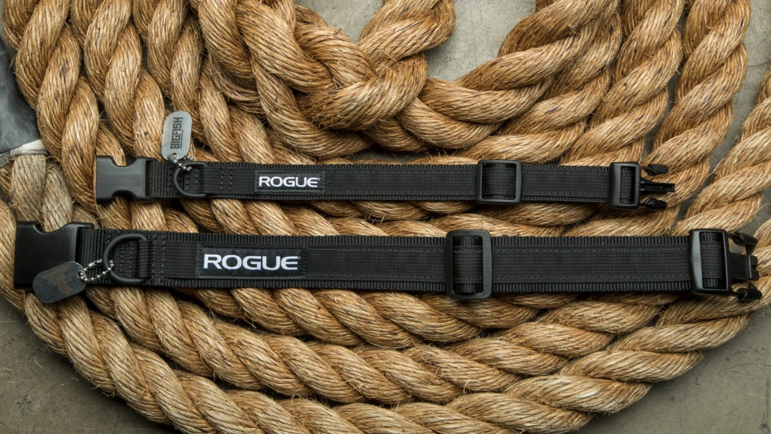 Rogue Dog Collar MIL Edition 4 Rogue Dog Collar MIL Edition - Image 2