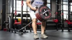 Rogue Monster Landmine 2.0 9 Rogue Monster Landmine 2.0 -Fitness Equipment Discount RA1671 web10 agizup