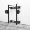 Rogue RML-3WC Fold Back Wall Mount Rack -Fitness Equipment Discount RF0611 21 FBS6 C2476 DYN