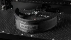 Rogue Multi Belt