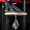 Rogue Rig Mount Speed Bag Platforms -Fitness Equipment Discount SPEEDBAG h en1s2e