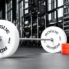 Rogue Technique Plates -Fitness Equipment Discount TECHPLATES H zxkspi