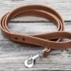 Rogue Leather Dog Leash 2 Rogue Leather Dog Leash -Fitness Equipment Discount WL0016 H ko6zhi