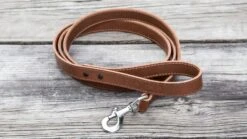 Rogue Leather Dog Leash