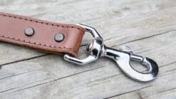Rogue Leather Dog Leash -Fitness Equipment Discount WL0016 WEB1 mylldi