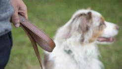 Rogue Leather Dog Leash -Fitness Equipment Discount WL0016 WEB3 fz7akh