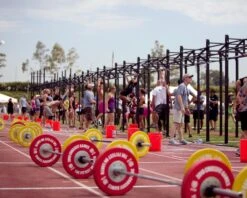 Dirty South Bar -Fitness Equipment Discount XX225 web2 lgehsv