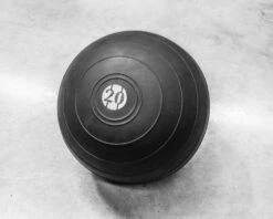 Rogue MK D-balls -Fitness Equipment Discount XX259 WEB2 vbow8n