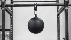 Rogue 12" Pull-up Globe