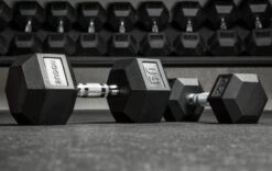 Rogue Dumbbells -Fitness Equipment Discount XX7125 WEB3 rglczm